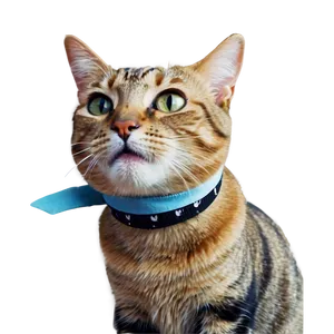Silly Cat Meme PNG Yqw16