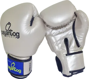 Silver Boxing Gloves Payantog Sports PNG image