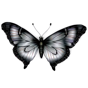 Silver Butterflies PNG Sit42 PNG