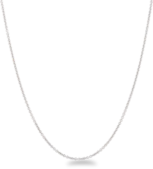 Silver Chain Necklace Isolated PNG image