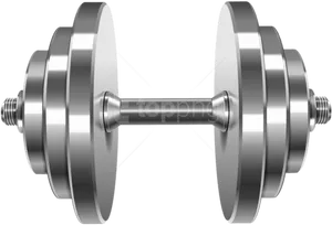 Silver Dumbbell Isolated Fitness Equipment