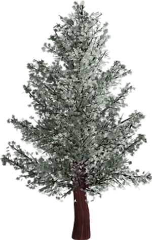 Silver Leafed Treeon Black Background