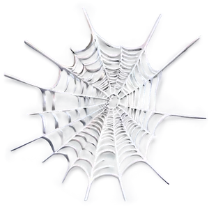 Silver Spider Web Artwork PNG image