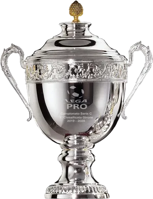 Silver Sports Trophy Image PNG image