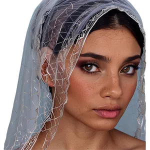 Silver Thread Veil PNG 66