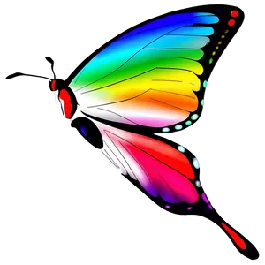 Simple Butterfly Graphic PNG Kku PNG