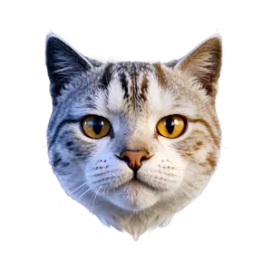 Simple Cat Face PNG 06122024