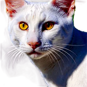 Simple Cat Face Png Tud26 PNG image