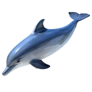 Simple Dolphin Png 05062024 PNG image