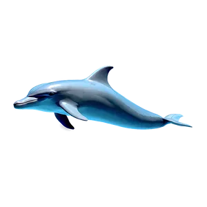 Simple Dolphin Png Rfu99 PNG image