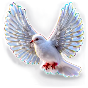 Simple Dove Clipart Png Hss PNG image