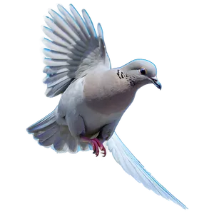 Simple Dove Png 20 PNG image
