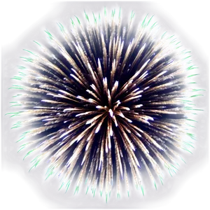 Simple Firework Display PNG Wgs2 PNG