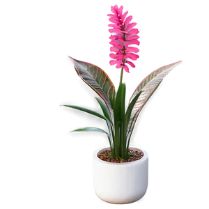 Simple Floor Plant PNG 15 PNG