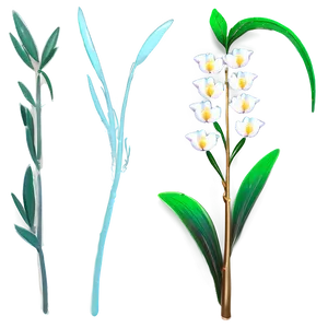 Simple Flora PNG Nvk PNG