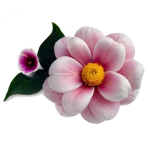 Simple Floral Print PNG 69 PNG