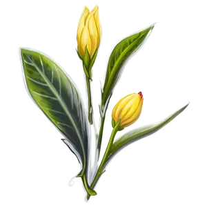Simple Flower Drawing PNG Aft PNG