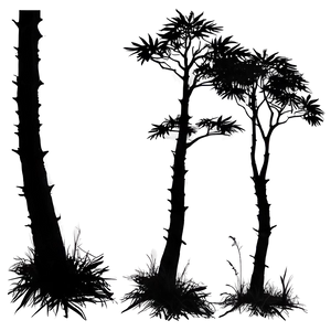 Simple Forest Silhouette PNG Usa