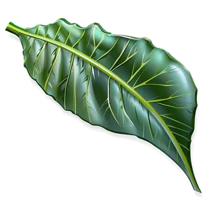 Simple Leaf PNG 05032024