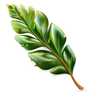 Simple Leaf PNG 70