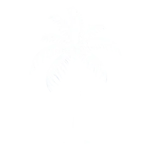 Simple Palm Tree Silhouette PNG Afp23 PNG