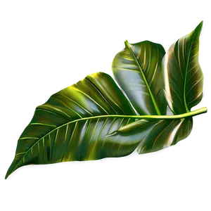 Simple Plant Leaves Png 06232024 PNG image