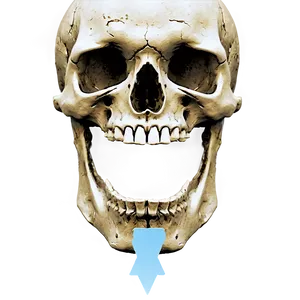 Simple Skull C PNG image