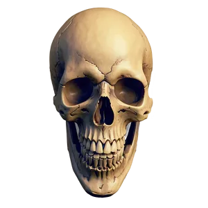 Simple Skull Carving PNG 06282024 PNG