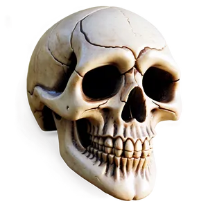 Simple Skull Carving PNG Nsw PNG