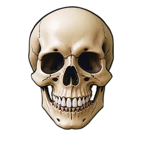 Simple Skull Head PNG 65 PNG