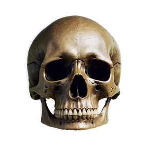 Simple Skull Silhouette PNG 17