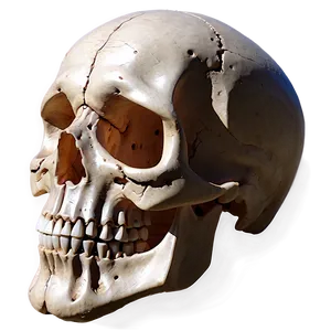 Simple Skull Silhouette PNG Xtc35 PNG