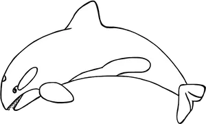 Simple Whale Line Art PNG image