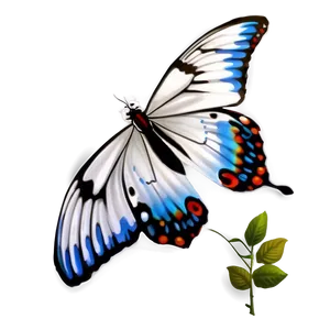 Simple White Butterfly Png 06122024 PNG image