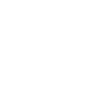 Simplified Leaf Graphic PNG image