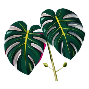 Simplified Monstera Leaf PNG 54
