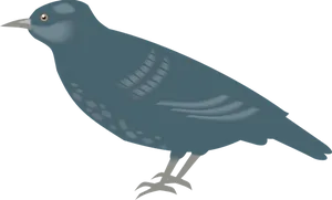 Simplified Pigeon Illustration PNG image