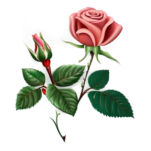 Simplified Rose Drawing Png Hhv31 PNG image