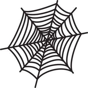 Simplified Spider Web Graphic