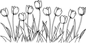 Simplified Tulip Sketch PNG image