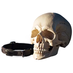 Simplistic Skull Image PNG Fvf