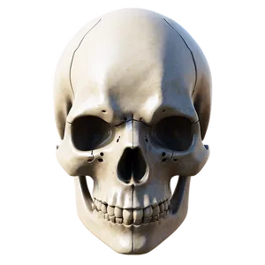 Simplistic Skull Image PNG Vye9 PNG