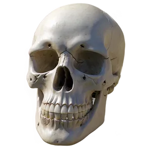 Simplistic Skull Sketch PNG 06282024 PNG