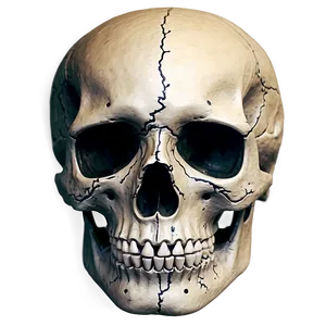 Simplistic Skull Tattoo PNG Wtr