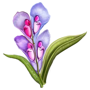 Sincere Sweet Pea Png Qxy PNG image