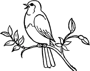 Singing Birdon Branch Silhouette