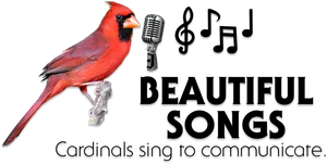 Singing Cardinal Beautiful Songs PNG image