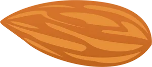 Single Almond Illustration