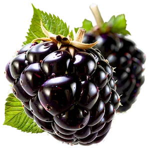 Single Blackberry PNG 05232024