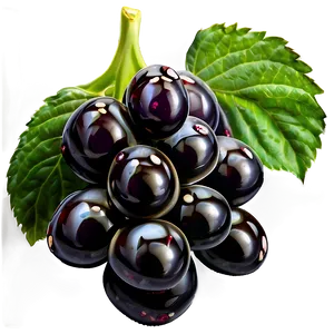 Single Blackberry PNG Gsn10